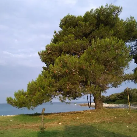 Πανσιόν Vera 4*